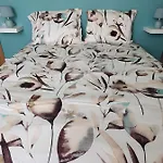 Brisa's Haven !pet Friendly! منزل للإقامة
